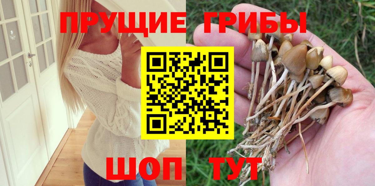 Галлюциногенные грибы мицелий  Галлюциногенные грибы ЛСД  Нерюнгри  как найти   Вход с VPN 