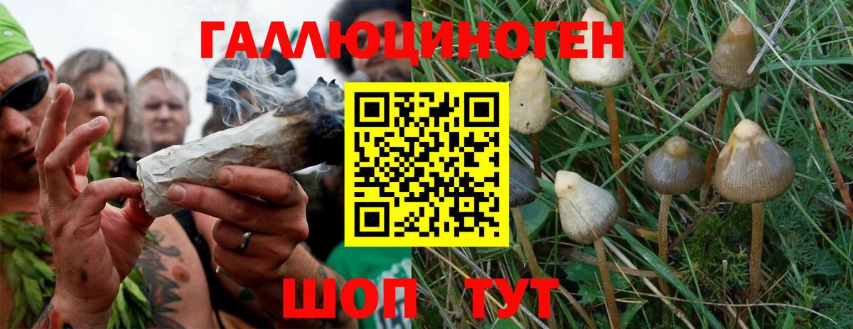 Галлюциногенные грибы MAGIC MUSHROOMS Нерюнгри
